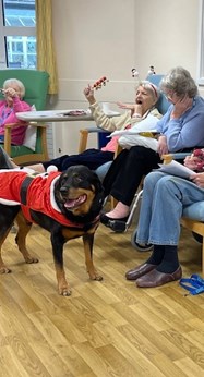 Old people laughing around a black and brown dog wearing a santa outfit