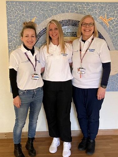 Three caucasian women from the peer support team standing in front of a mosaic picture.