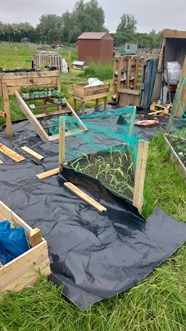 Garden with wooden planters.