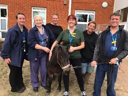EPUT staff with Shetland pony who visited patients