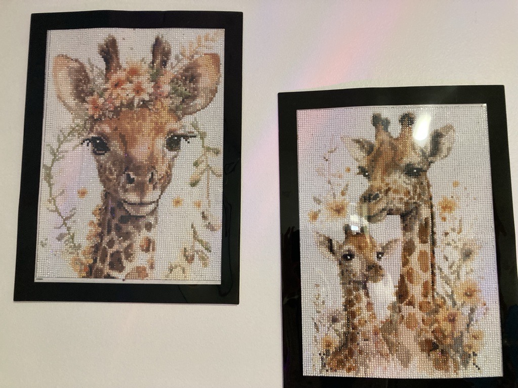 Photo of diamond art therapy created by inpatients at EPUT