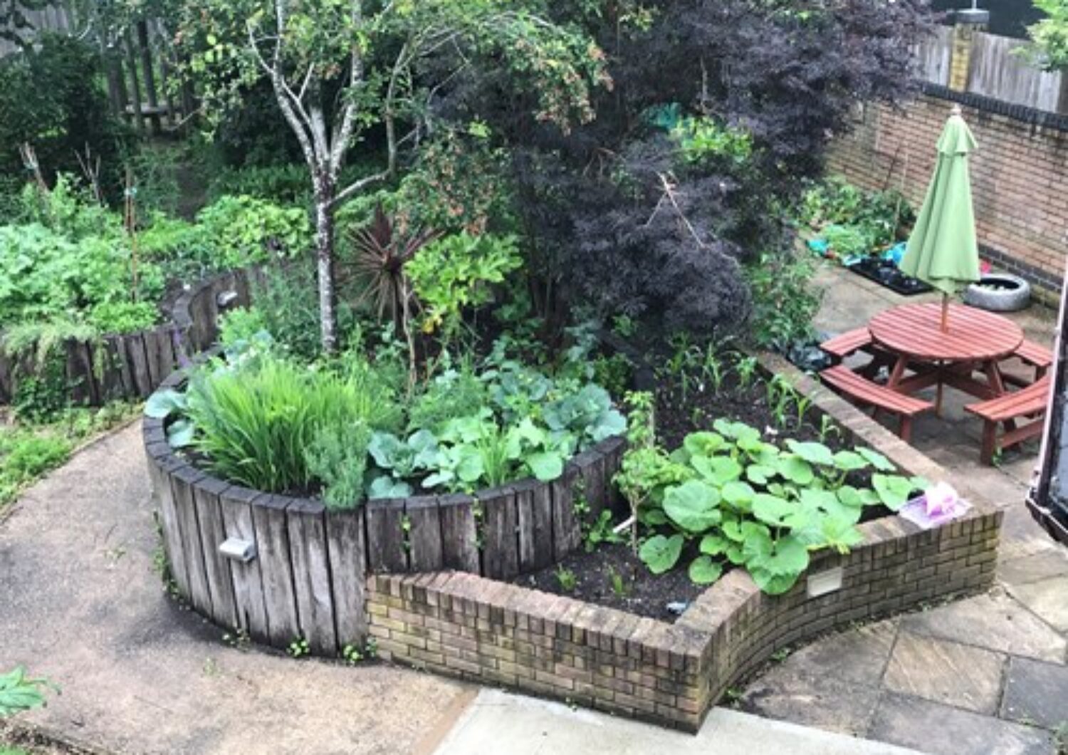 Picture of a garden