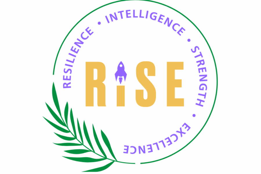 Logo of the RISE programme